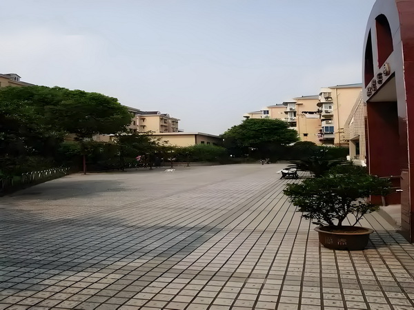 皇后大翻身：凤凰劫
